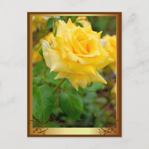 Carte Postale Emblème Rosa [Carte Postale]