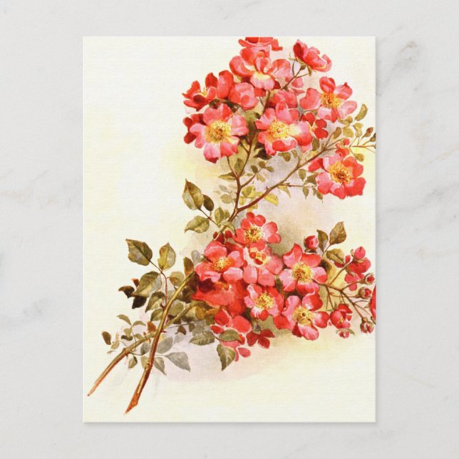 Carte Postale Embranchez-vous avec les fleurs roses faites sur (Devant)