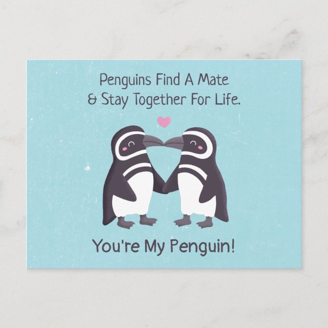 Carte Postale Embrasser Des Pingouins, Drôle Tu Es Mon Pingouin (Devant)