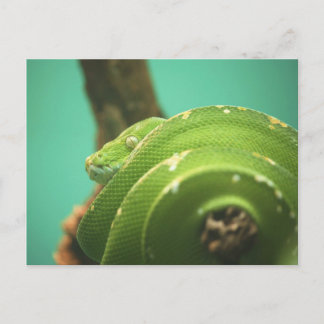 Carte Postale Émeraude