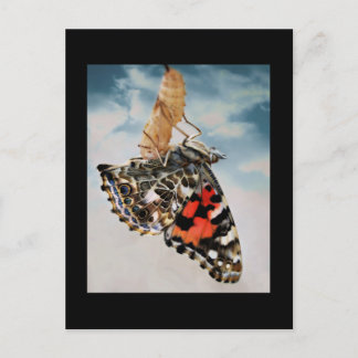 Carte Postale Émergence