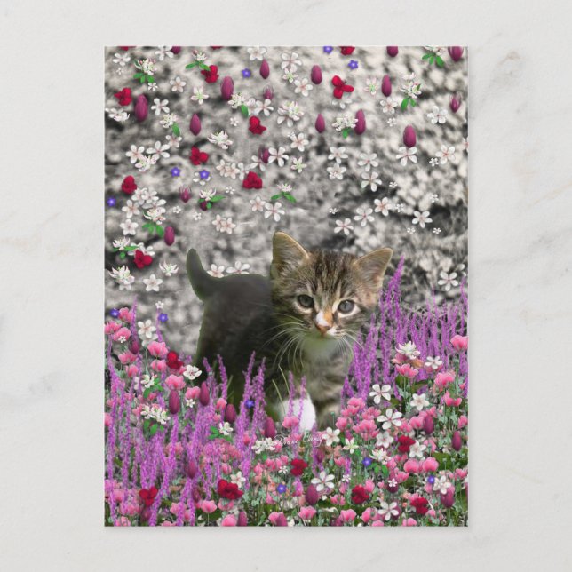 Carte Postale Emma en fleurs I – Petit chat gris (Devant)
