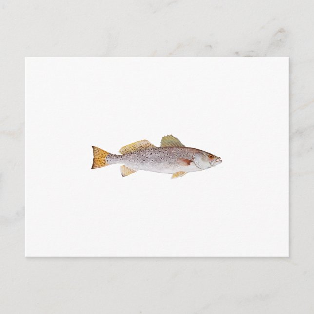 Carte Postale Emplacement (Devant)