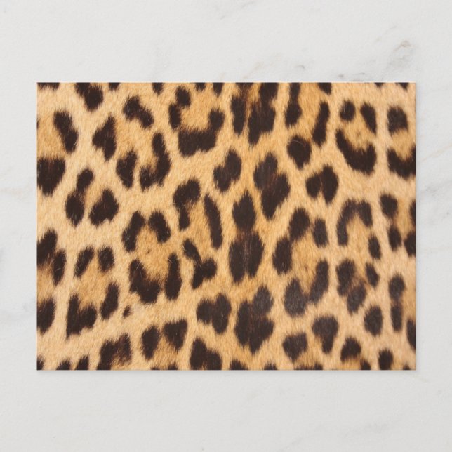 Carte Postale empreinte de léopard à la mode girly chic wild saf (Devant)
