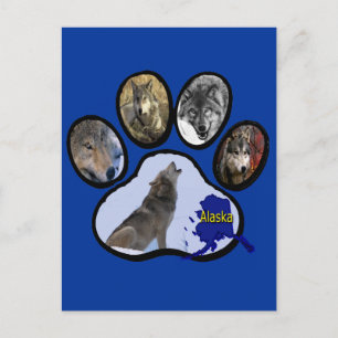 Carte Postale Empreinte de patte d'Alaska de loup