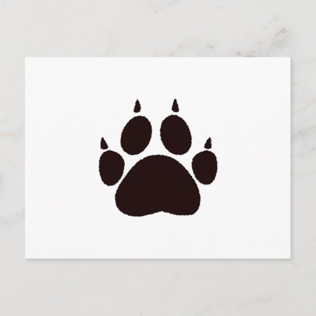 Carte Postale Empreintes de pattes de chat (Devant)