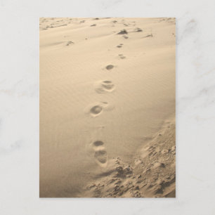 Carte Postale Empreintes de sable