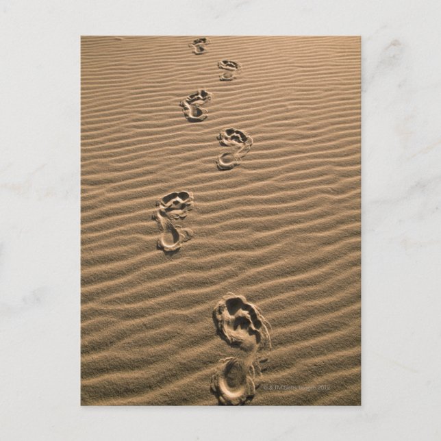 Carte Postale Empreintes humaines sur la plage de sable (Devant)