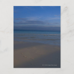 Carte Postale Empreintes sur la plage