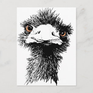 Carte Postale Emu