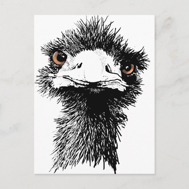 Carte Postale Emu (Devant)