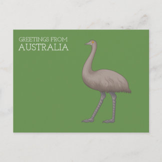 Carte postale Emu australienne