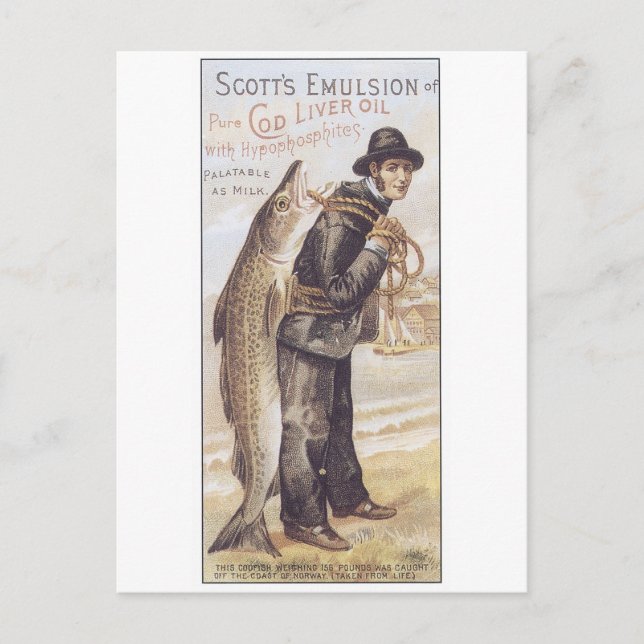Carte Postale Emulsion Ecosse Cod Liver Huile (Devant)