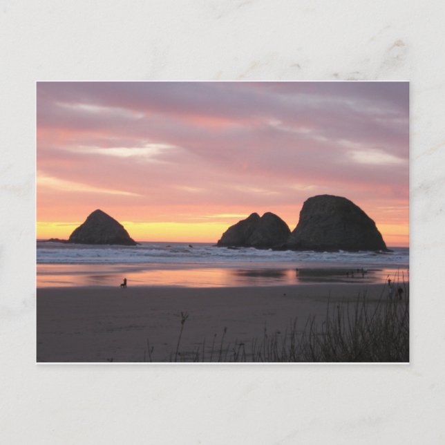 Carte Postale En bord de mer, Oregon (Devant)