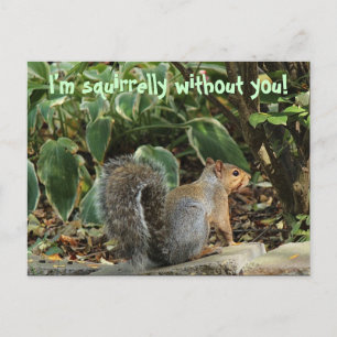 Carte postale en cas de disparition d'une personne