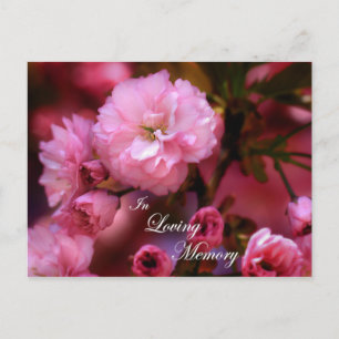 Carte Postale En Mémoire Amoureuse Printemps rose fleurs de ceri