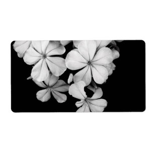 carte postale en noir et blanc