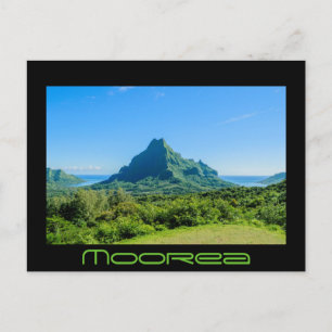 Carte postale en noir Moorea vert