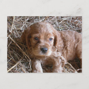 Carte Postale En pensant à toi...