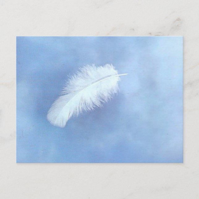Carte postale en plumes d'ange (Devant)