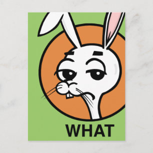 CARTE POSTALE EN RABBIT STYLE CARTOON FUNNY