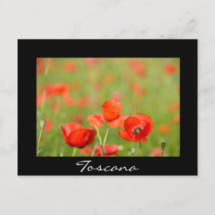 Carte postale en Toscane en texte noir