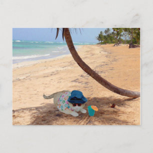 Carte Postale En vacances