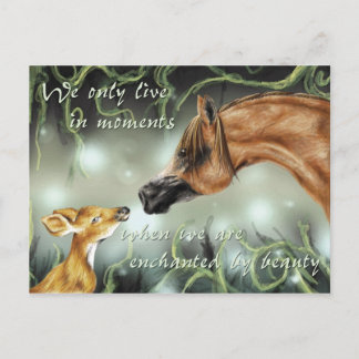 Carte Postale Enchanté par la beauté