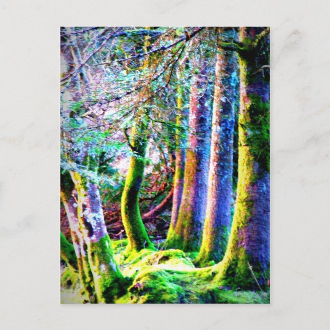 Carte postale Enchanted Forest Abstrait Art (Devant)