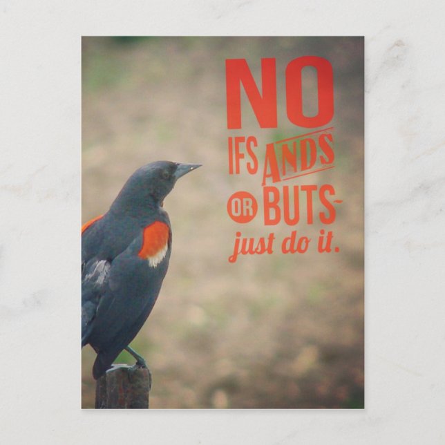 Carte Postale Encouragement de Blackbird (Devant)