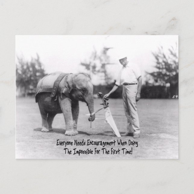 Carte Postale Encouragement - Elephant Jouer Golf (Devant)