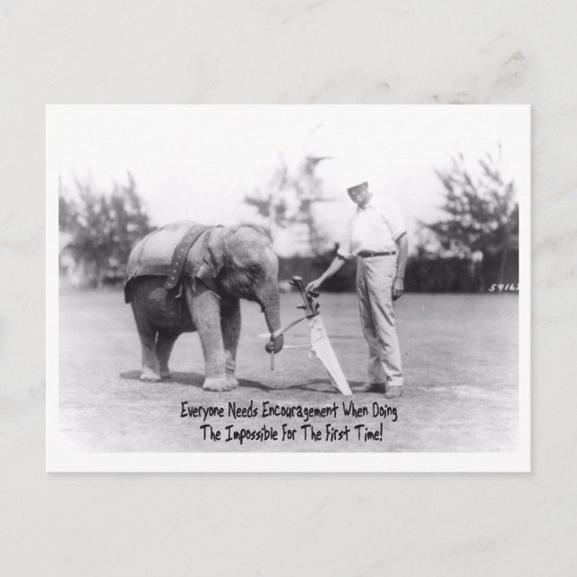 Carte Postale Encouragement - Elephant Jouer Golf (Devant)