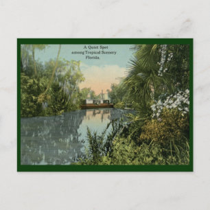 Carte Postale Endroit Tranquille en Floride Tropicale Vintage