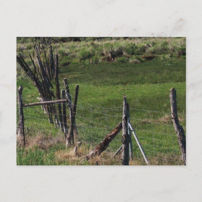 Carte Postale Enfance I (Devant)