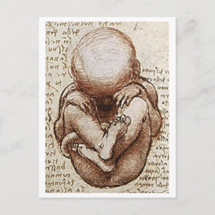 Carte Postale Enfant à naître