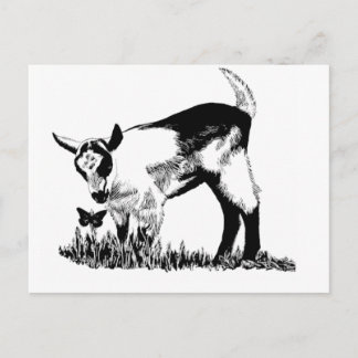 Carte Postale Enfant alpin