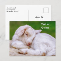 Enfant de chèvre pour bébé en sommeil personnalisé