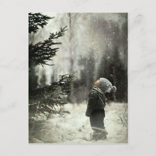 Carte Postale Enfant et sapin (Devant)