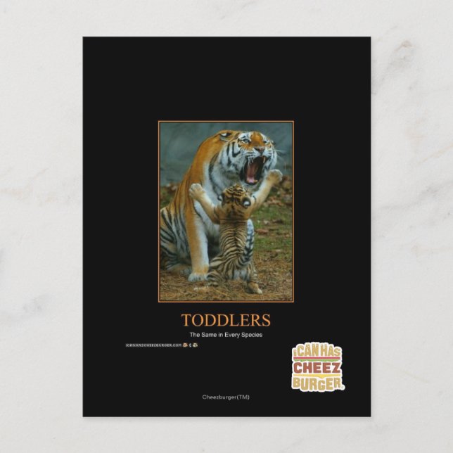 Carte Postale Enfants en bas âge (Devant)