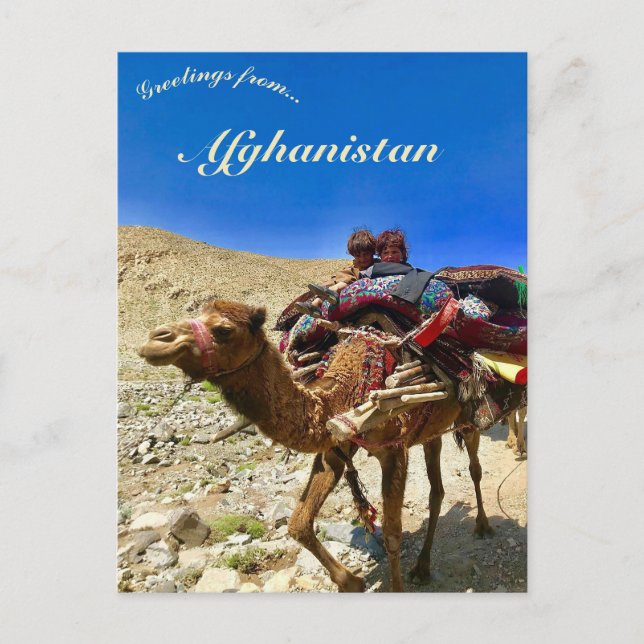 Carte Postale Enfants sur un chameau à Hérat en Afghanistan (Devant)