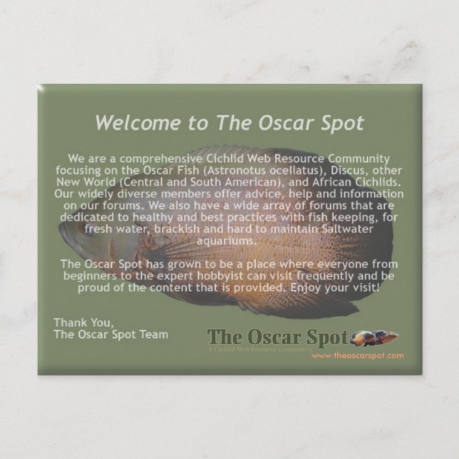 Carte Postale Énoncé de mission (Devant)