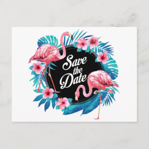 Carte Postale Enregistrer La Date Tropicale