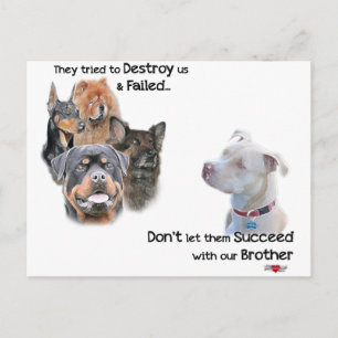 Carte Postale Enregistrer le Pitbull
