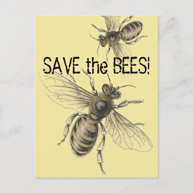 Carte Postale Enregistrer les images Vintages des abeilles (Devant)