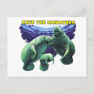 Carte Postale Enregistrer les mangataires