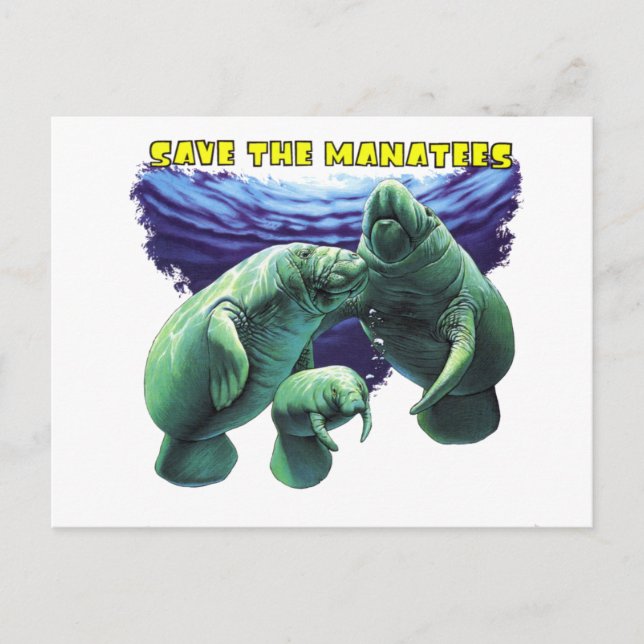 Carte Postale Enregistrer les mangataires (Devant)