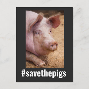 CARTE POSTALE ENREGISTRER LES PIGS PIG VEGAN POSTCARDS
