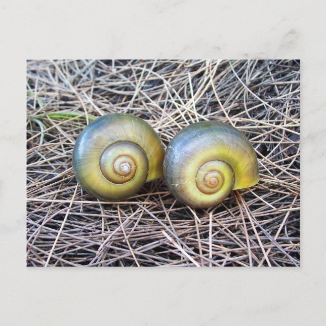 Carte Postale Ensemble chaud (Devant)