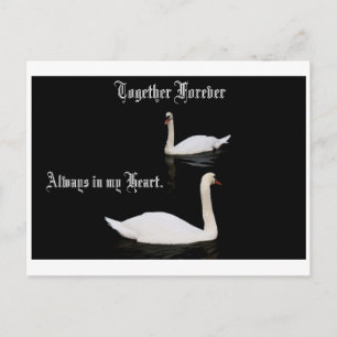 Carte Postale Ensemble Des Cygnes Pour Toujours.