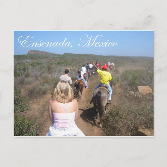Carte Postale Ensenada, Mexique (Devant)